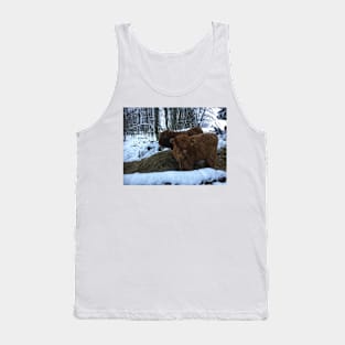 Scottish Highland Cattle Calves 1857 Tank Top